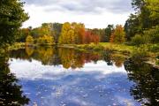 Autumn Trees Reflected in Lake