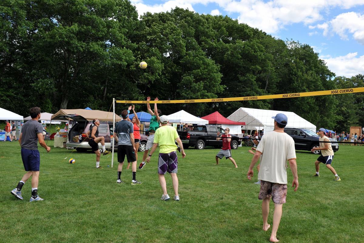 Group Playing Volleyball