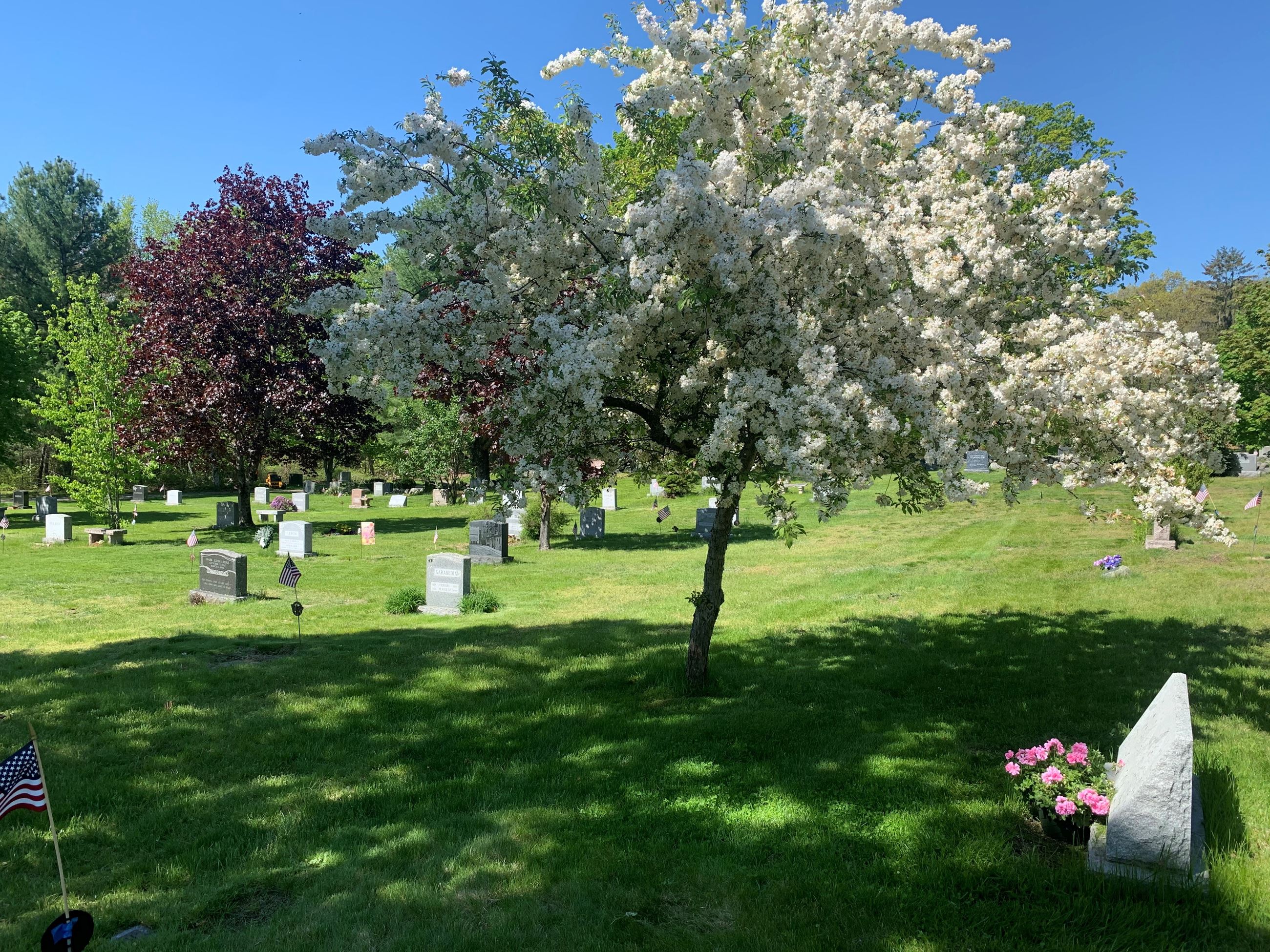 South Cemetery
